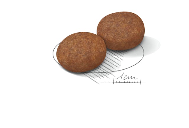 Royal Canin Medium Adult 7+ - Image 2