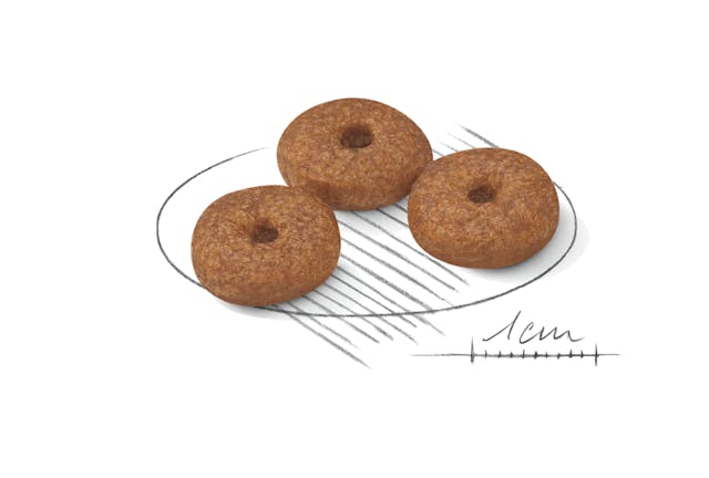 Royal Canin Mini Ageing 12+ 1.5kg - Image 2