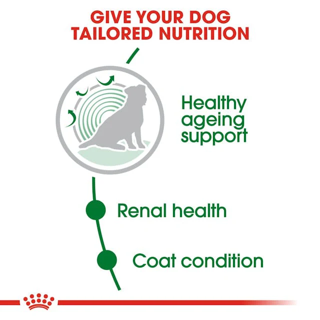 Royal Canin Mini Ageing 12+ 1.5kg - Image 4
