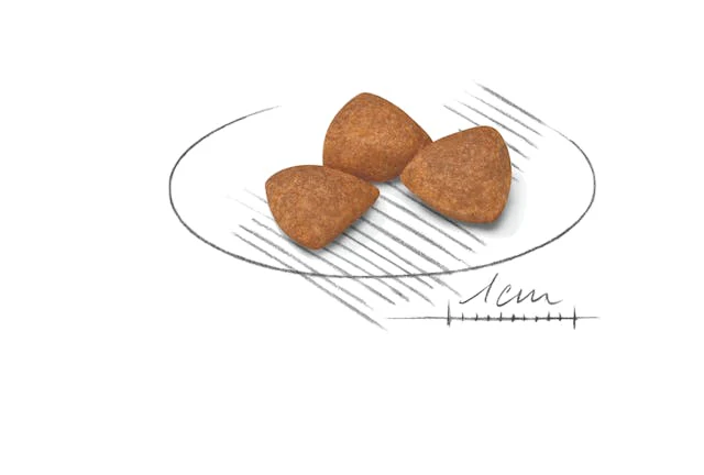 Royal Canin X-Small Ageing 12+ 1.5kg - Image 3