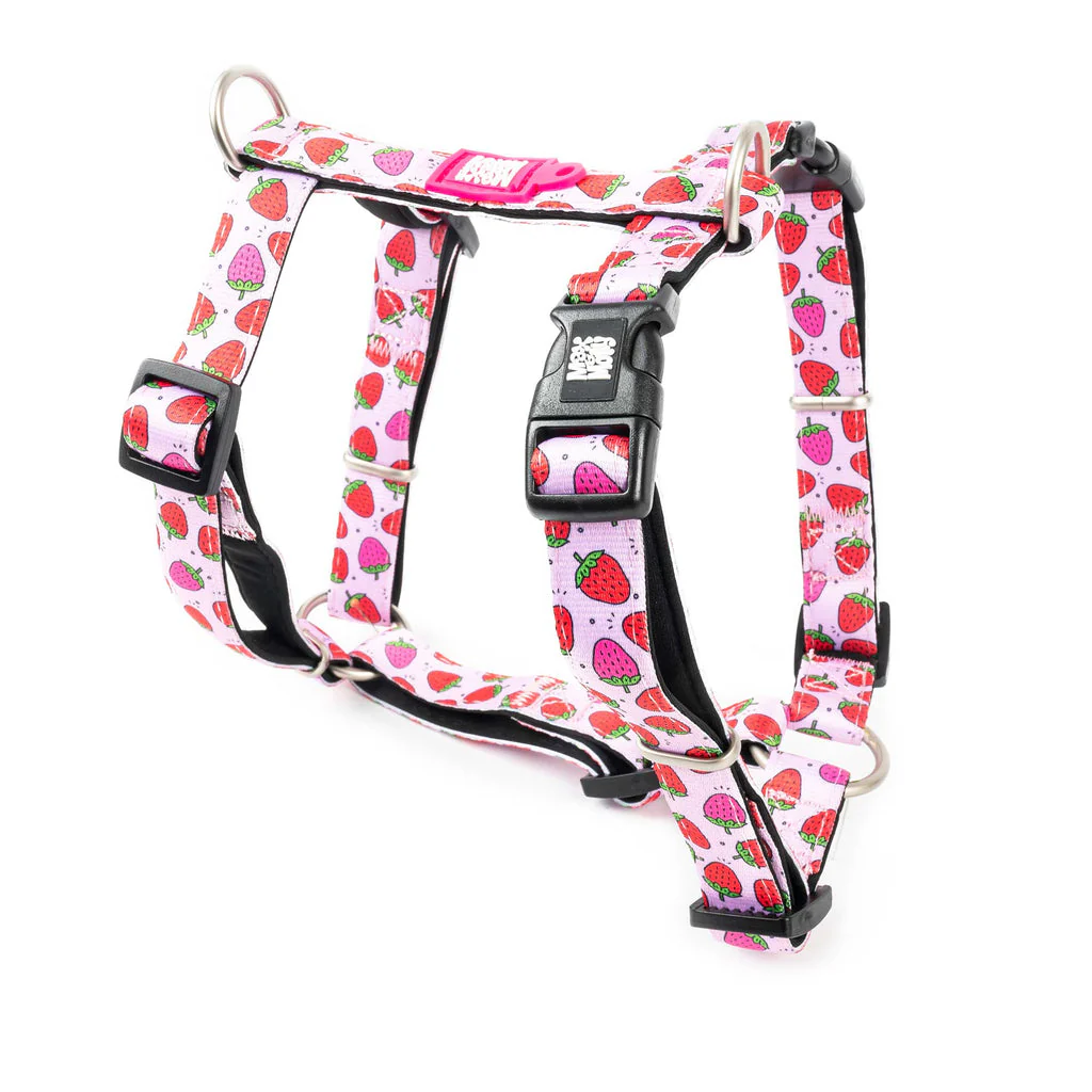 M&M Strawberry H Harness