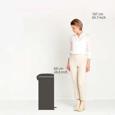 Brabantia New lcon Pedal Bin Soft Beige -30L - Image 3