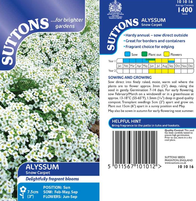 Alyssum 'Snow Carpet (Improved Strain)' - Seeds