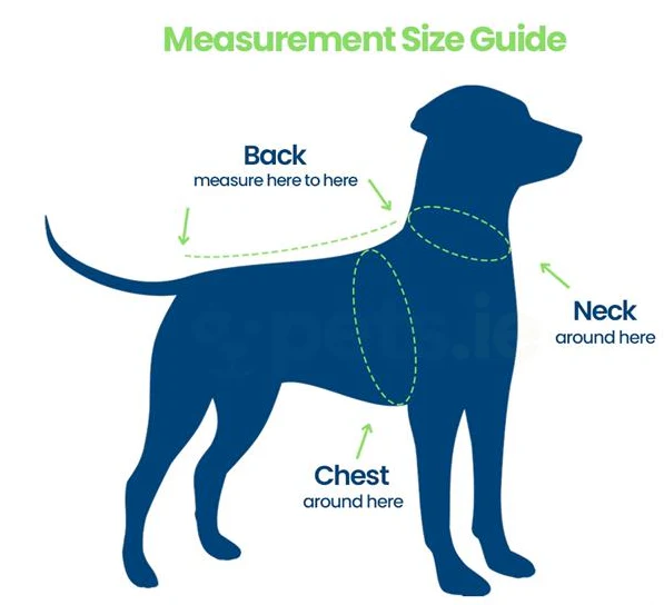 Ancol Viva - Padded Dog Harness - Red - Image 3
