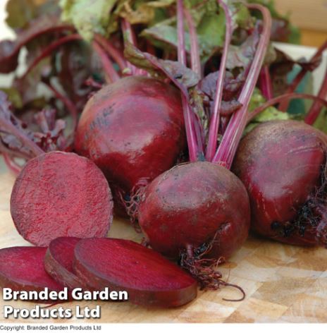 Beetroot 'Boltardy' - Seeds - Image 2