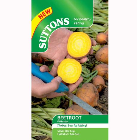 Beetroot F1 'Boldor' - Seeds - Image 2