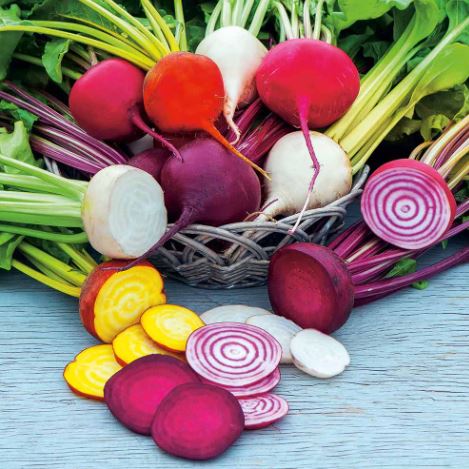 Beetroot 'Rainbow Mix' - Seeds - Image 2