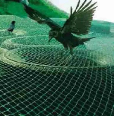 Bird Protection Net (Silanet) - Image 2