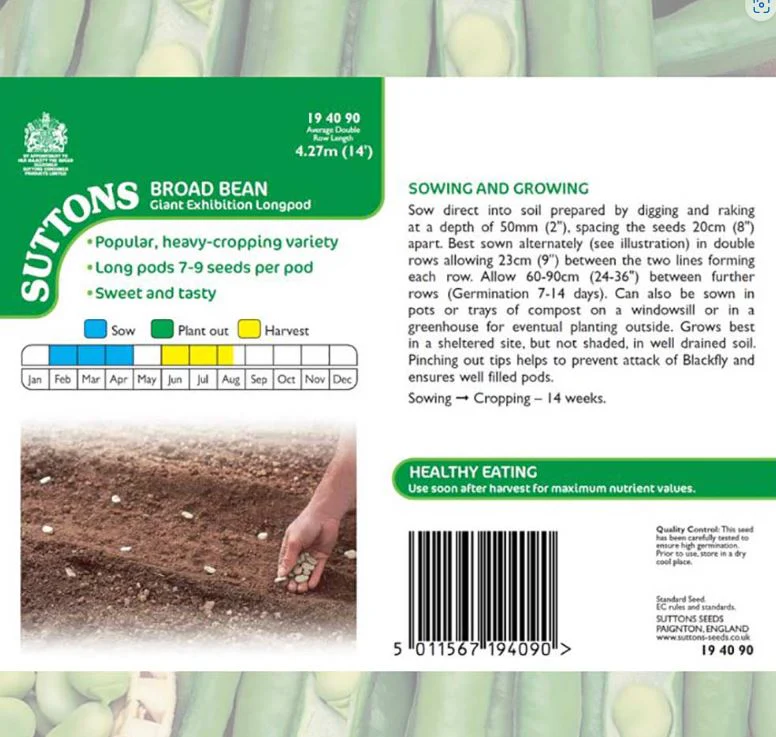 Broad Bean 'Giant Exhibition Longpod' - Seeds - Image 4