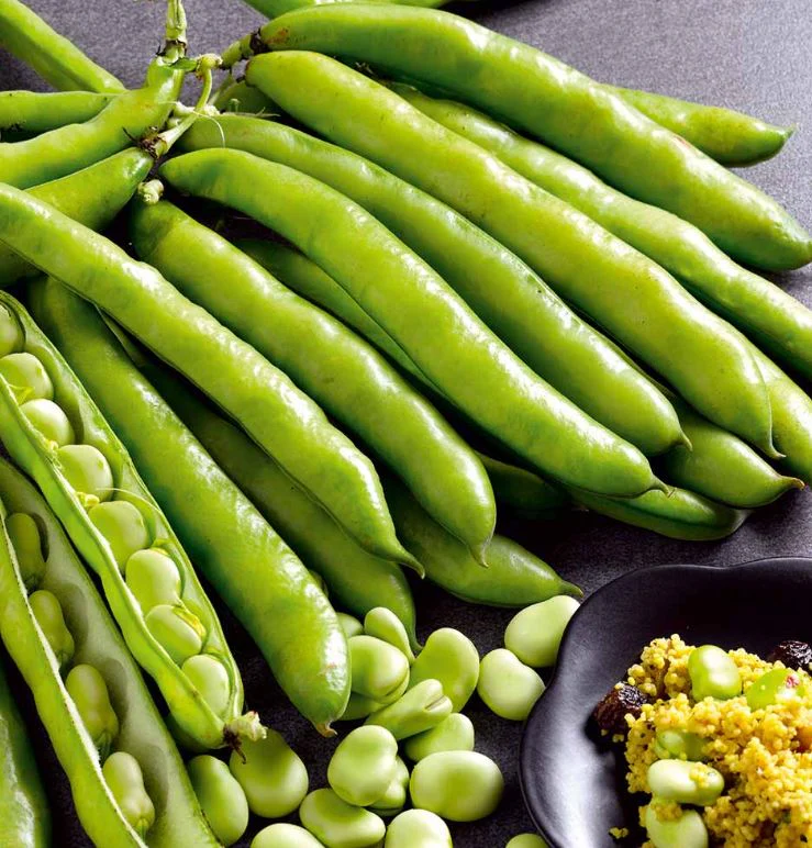 Broad Bean 'Masterpiece Green Longpod' - Seeds
