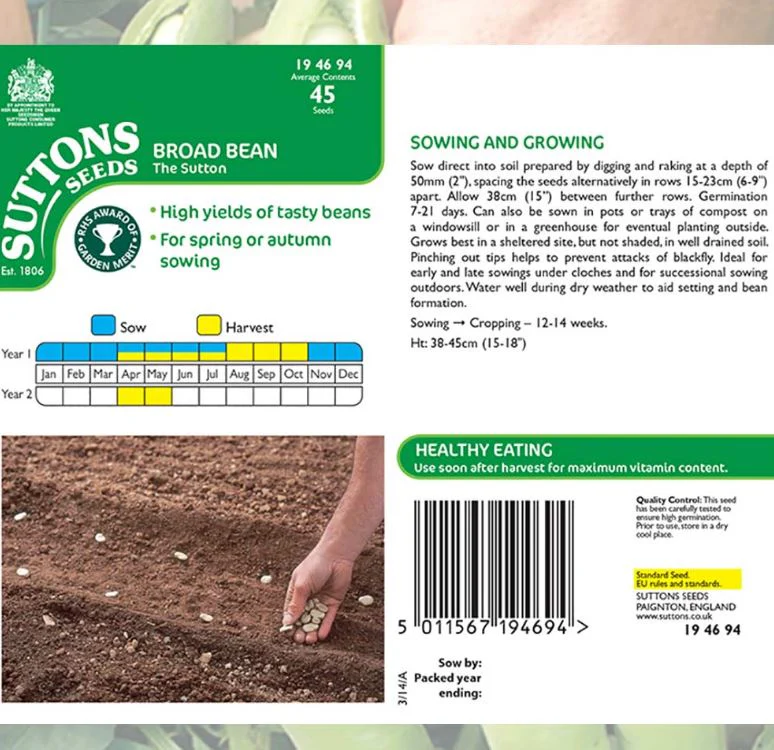 Broad Bean 'The Sutton' - Seeds - Image 3