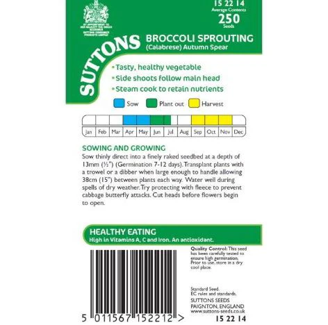 Broccoli 'Autumn Spear' - Seeds - Image 2