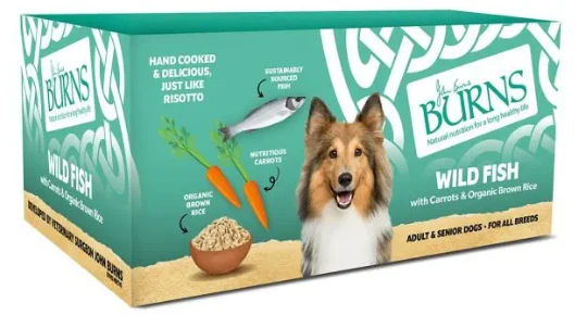 Hypoallergenic Burns Penlan Wild Fish Dog Wet Food Fish 12x150g
