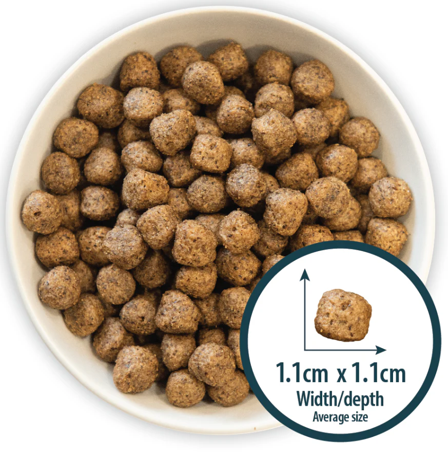 Hypoallerganic Burns Puppy Free From Duck & Potato 2KG - Image 2