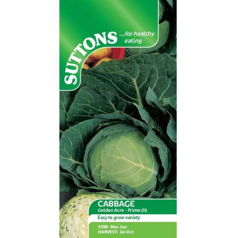 Cabbage 'Golden Acre Primo' - Seeds - Image 2