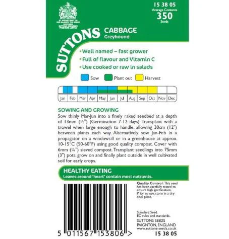 Cabbage 'Greyhound' - Seeds - Image 2
