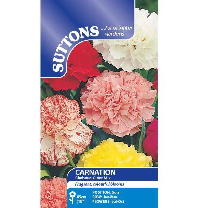 Carnation 'Chabaud Giant Mix' - Seeds
