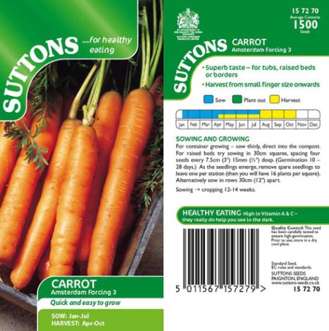 Carrot 'Amsterdam Forcing 3' - Seeds - Image 4