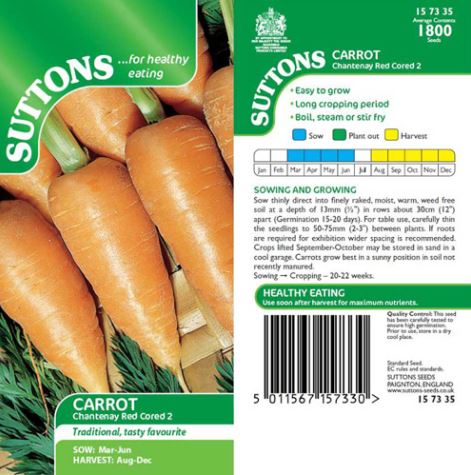 Carrot 'Chantenay Red Cored 2' - Seeds - Image 3