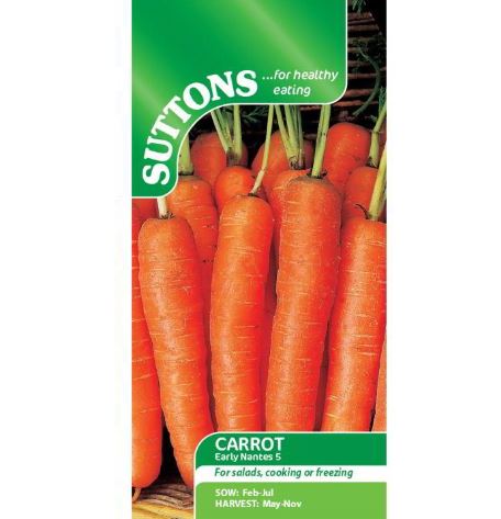 Carrot 'Early Nantes 5' - Seeds - Image 2