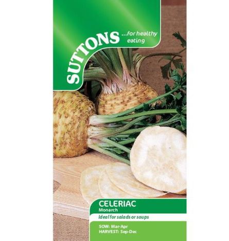Celeriac 'Monarch' - Seeds - Image 2