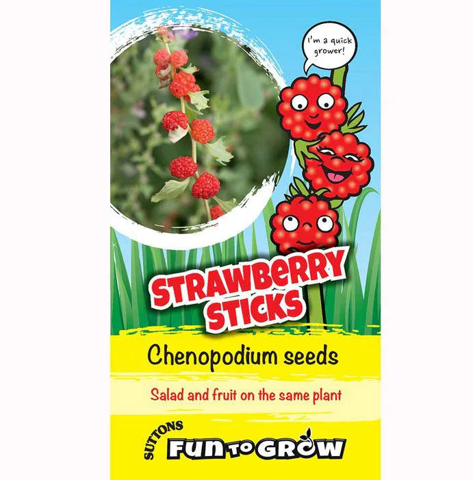 Chenopodium 'Strawberry Sticks' - Seeds