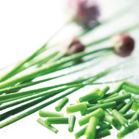 Chives - Herb Seeds - Image 2