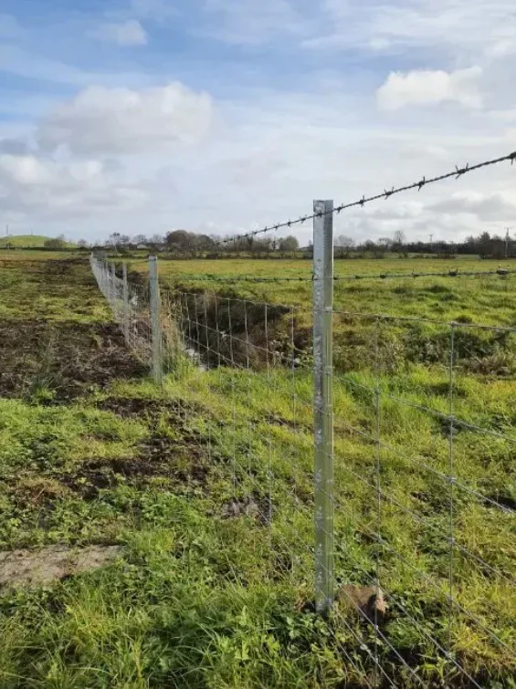 Clipex Eco Post 1.8m 10 Clip Sheep Post - Image 2
