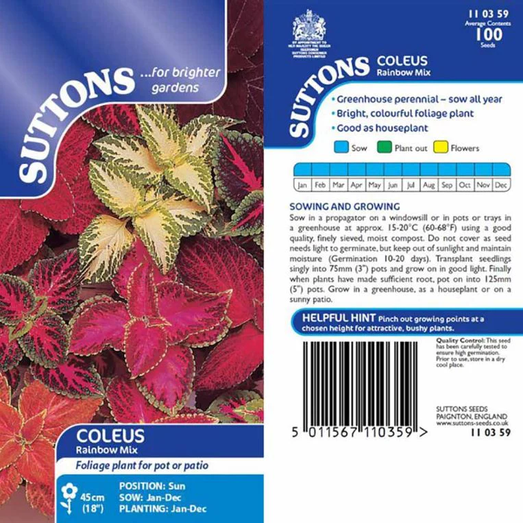 Coleus 'Rainbow Mix' - Seeds - Image 4
