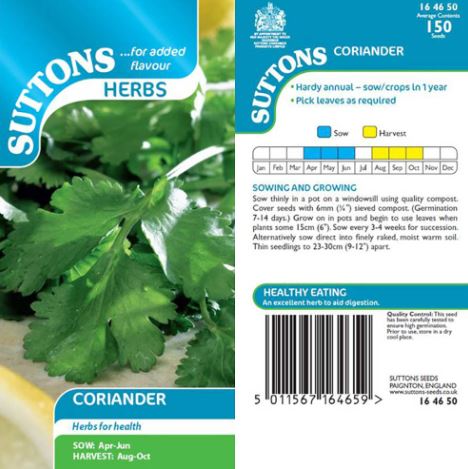 Coriander - Herb Seeds - Image 4