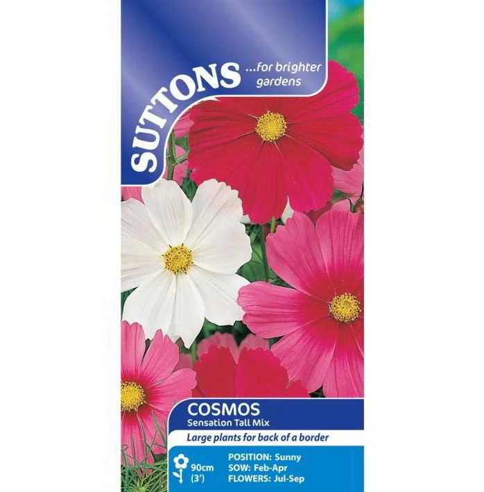 Cosmos 'Sensation Tall Mix' - Seeds - Image 2
