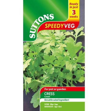 Cress 'Greek' - Speedy Veg Seeds - Image 2