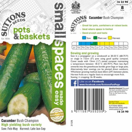 Cucumber 'Bush Champion' - Seeds - Image 4