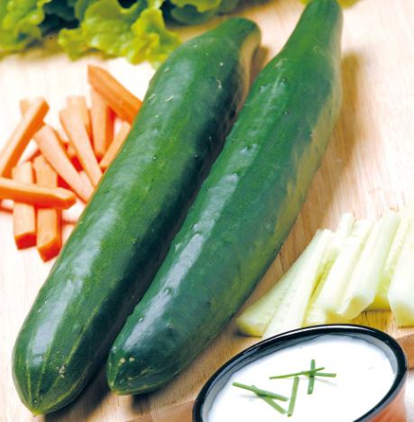 Cucumber 'Telegraph Improved' - Seeds - Image 2