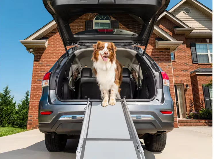 Petsafe Deluxe Telescoping Pet Ramp - Image 2