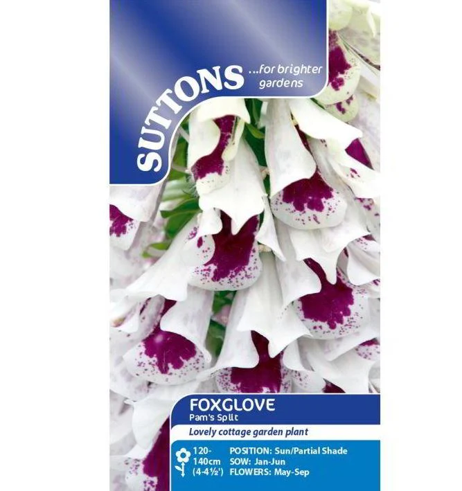 Digitalis 'Pam's Split' - Seeds