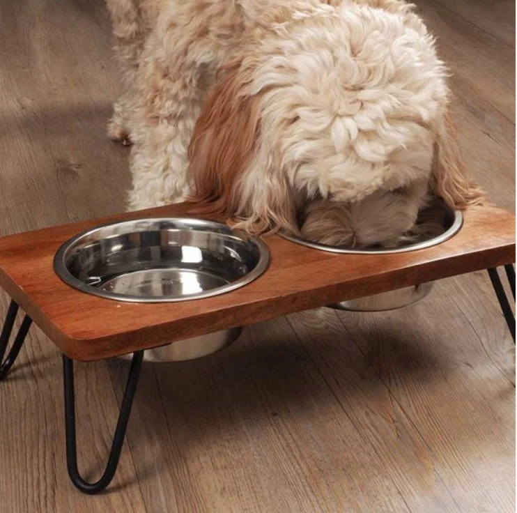 Double Diner - Pet Food Bowls - Image 2