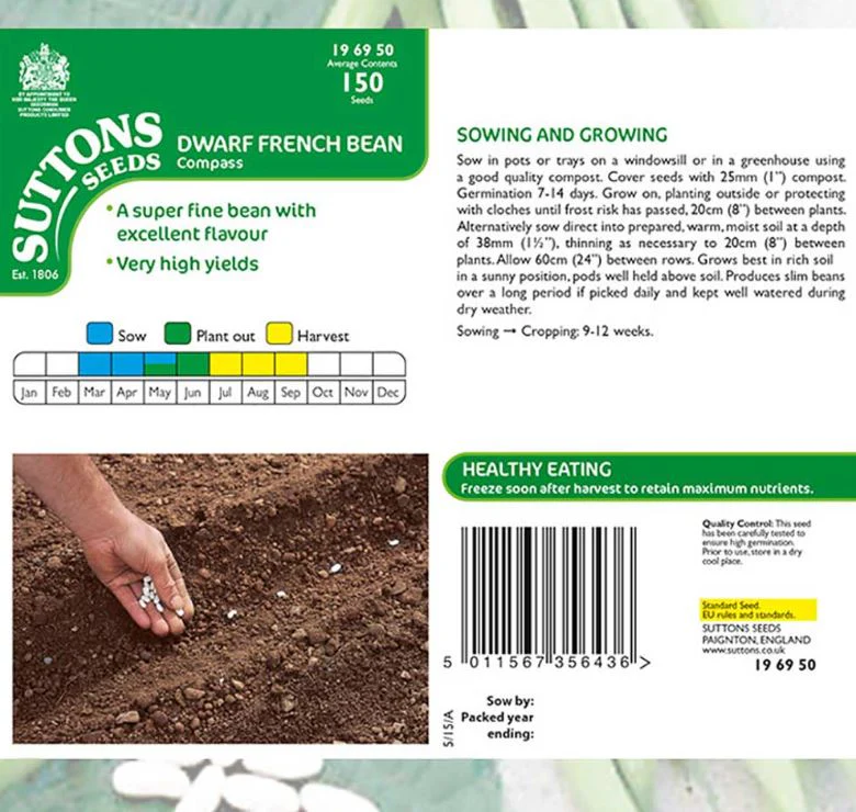 Dwarf French Bean 'Compass' - Seeds - Image 2