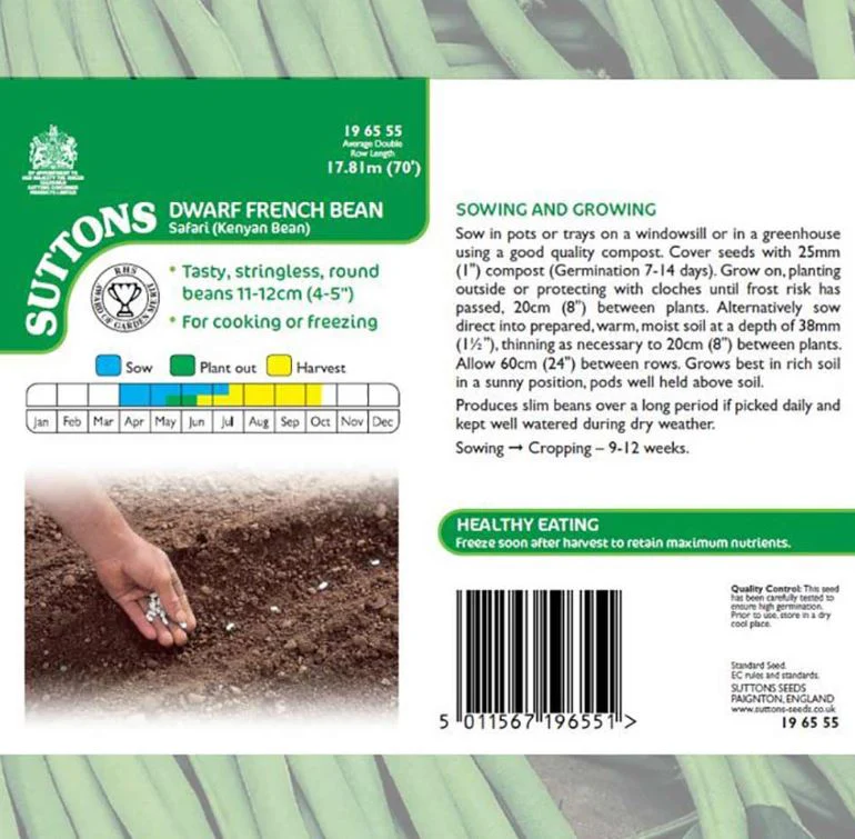 Dwarf French Bean 'Safari' - Seeds - Image 4