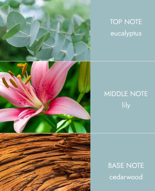 Essential Oils - Botanical Breeze - Image 3
