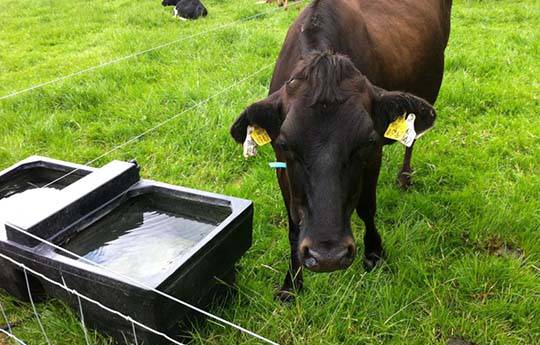 30 GAL Low Profile Drinking Trough - Image 2