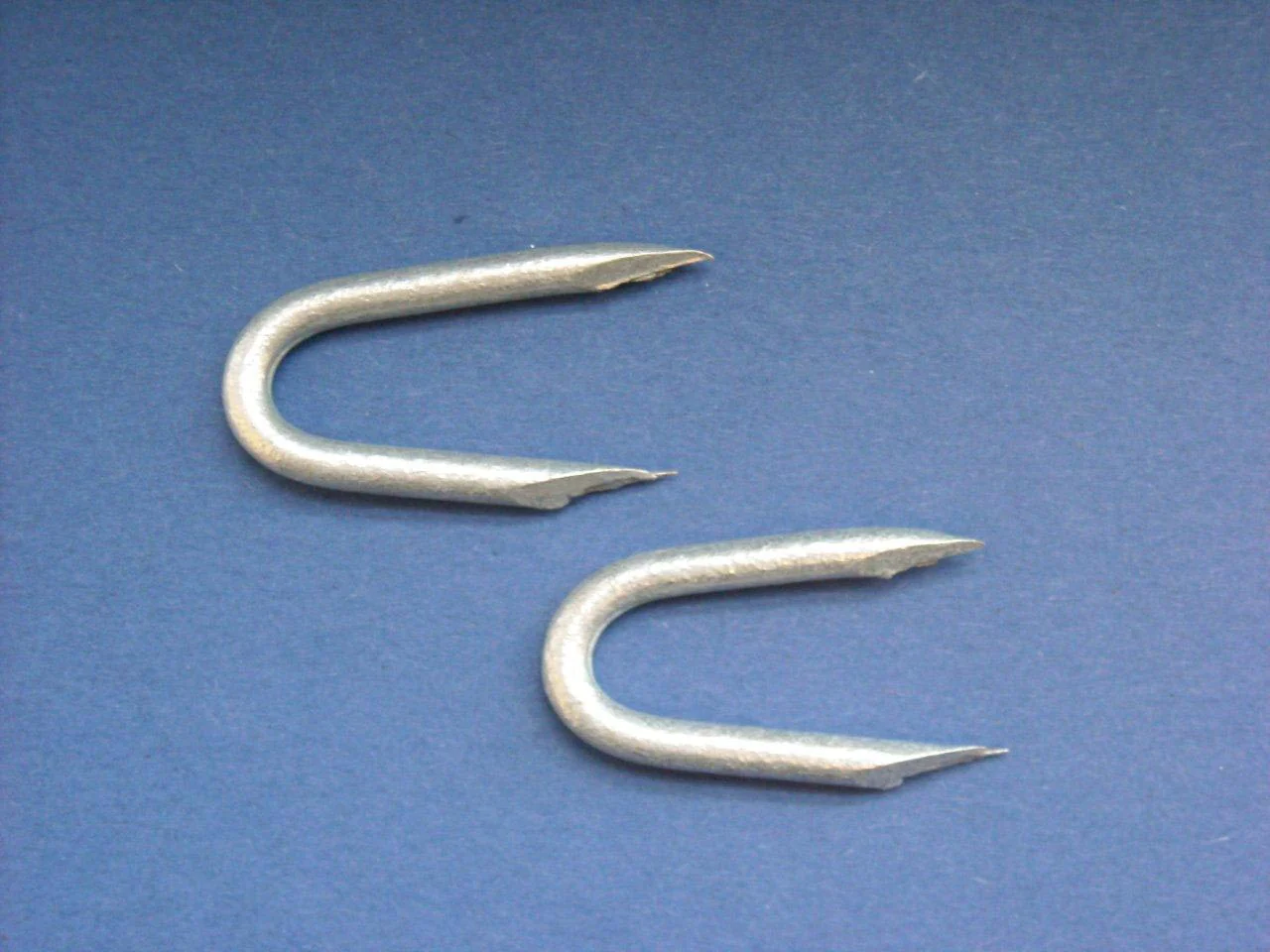 1 1/2" X 8g Gal Fence Staples 10kg Tub