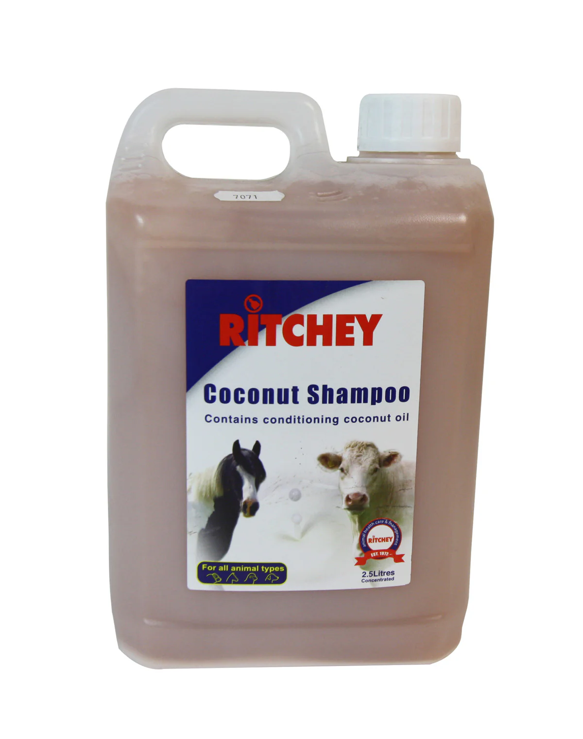Ritchey Super Coconut Shampoo - Image 2