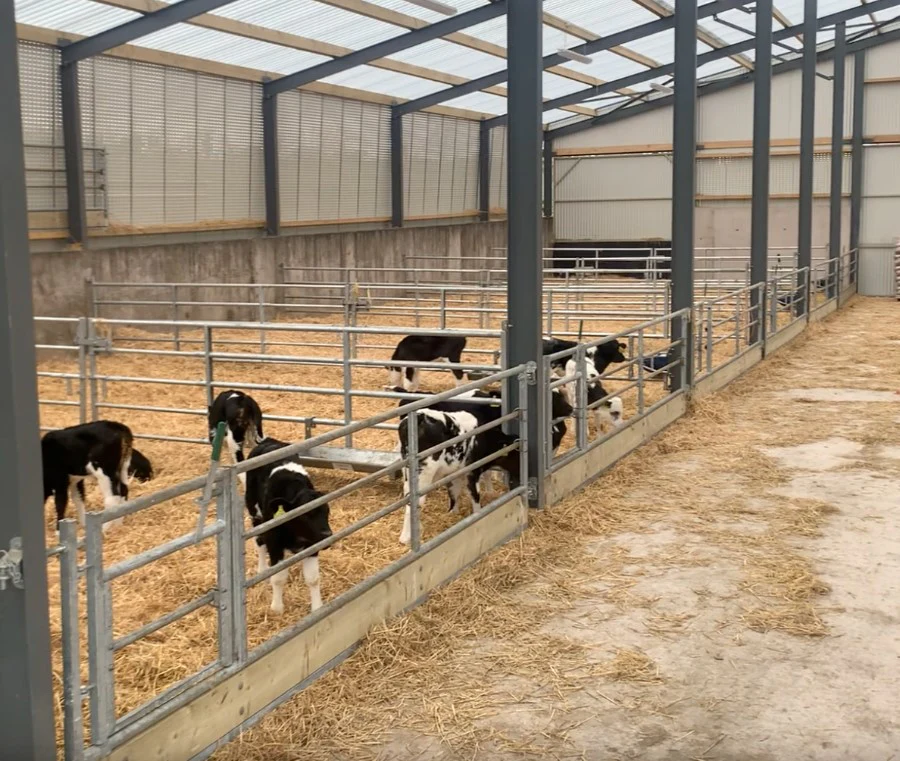Condon Calf/Sheep Feed Barrier Standard - Image 2