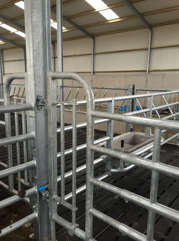 Man Escape Gate - Back - Image 2