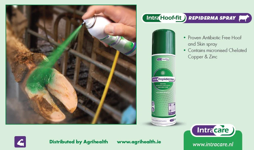 Intra Repiderma Aerosol 250ml - Image 2