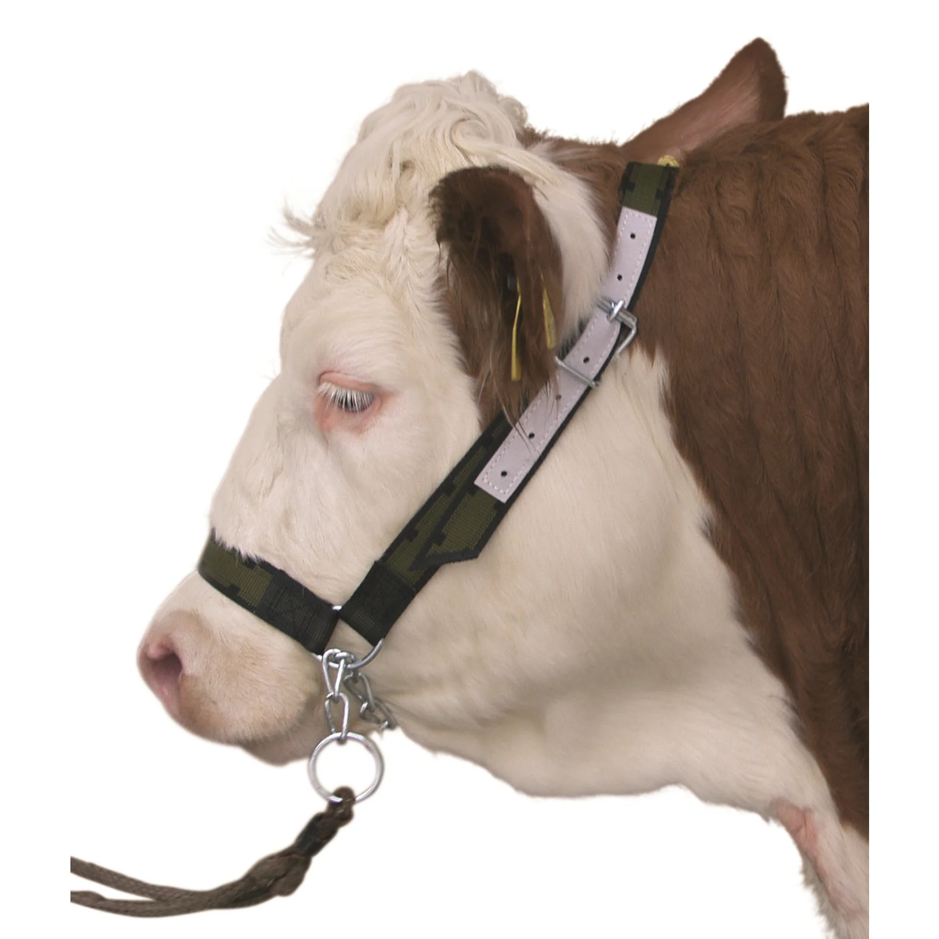 Nylon Cattle Show Halter Olive Green - Image 2