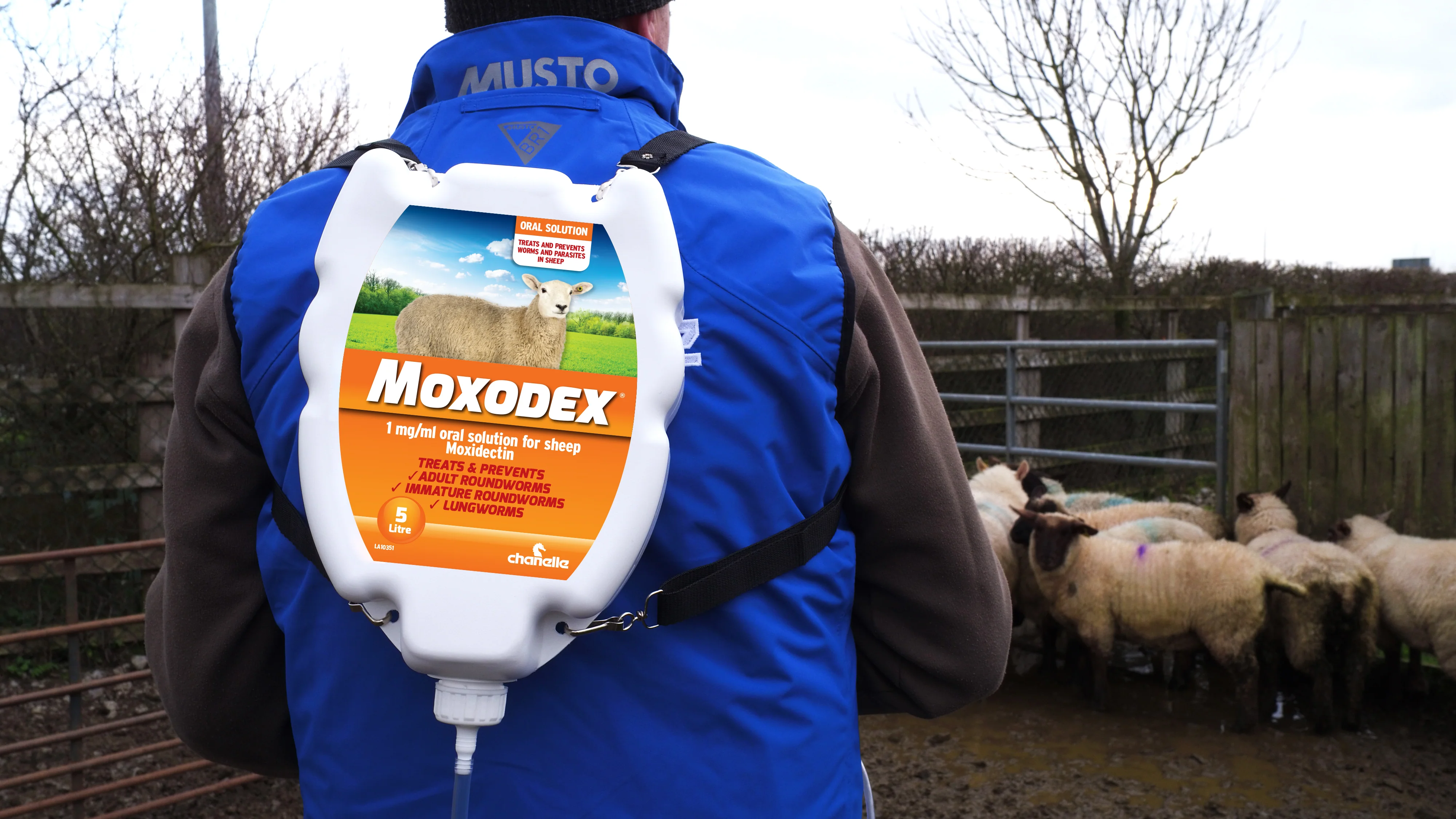 Moxodex - Image 2