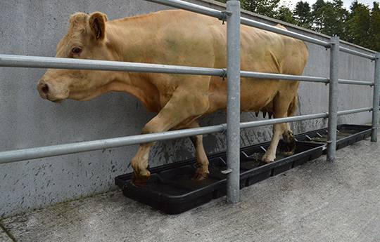 Narrow Interlocking Footbath Smooth - Image 3