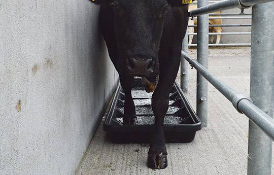 Narrow Interlocking Footbath Smooth - Image 4